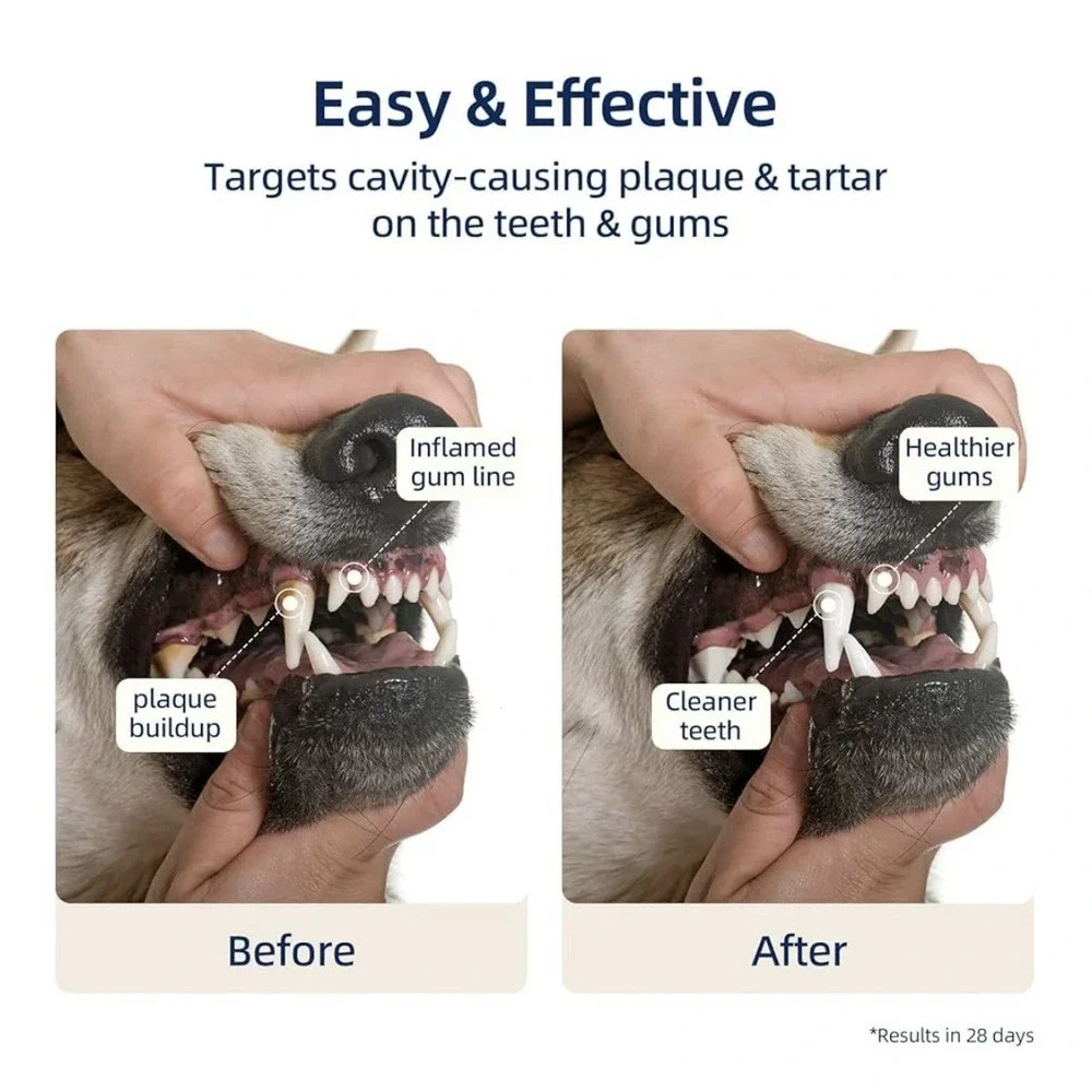 Dental Powder for Dogs – Teeth Cleaning & Dental Care Made Easy NEW